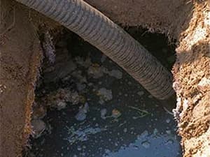 Septic tank pumping hose removing waste during routine cleaning Septic tank pumping hose removing waste during routine cleaning